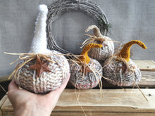 Load image into Gallery viewer, Knitted Pumpkins with long stalks
