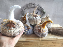 Load image into Gallery viewer, Knitted Pumpkins with long stalks
