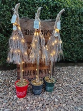 Load image into Gallery viewer, Light up Rustic Christmas Trees
