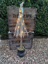 Load image into Gallery viewer, Light up Rustic Christmas Trees
