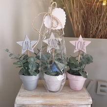 Load image into Gallery viewer, Potted Faux plant with wooden star pick
