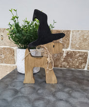 Load image into Gallery viewer, Halloween decor, Womble Dog Witch
