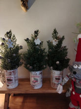 Load image into Gallery viewer, Light up Christmas tree in Rustic White tin can pot - FREE P&amp;P
