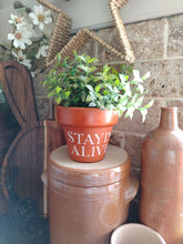 Load image into Gallery viewer, Terracotta pots
