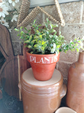 Load image into Gallery viewer, Terracotta pots

