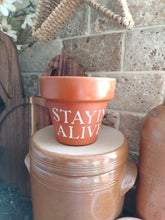 Load image into Gallery viewer, Terracotta pots
