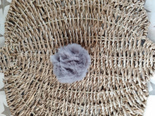 Load image into Gallery viewer, Pom pom &amp; wooden bat
