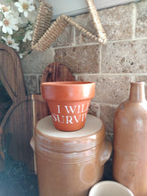 Load image into Gallery viewer, Terracotta pots
