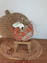 Load image into Gallery viewer, Plump Rustic Orange Pumpkin
