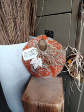Load image into Gallery viewer, Plump Rustic Orange Pumpkin
