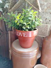 Load image into Gallery viewer, Terracotta pots
