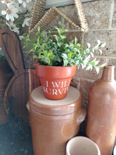 Load image into Gallery viewer, Terracotta pots
