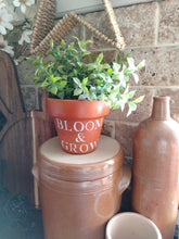 Load image into Gallery viewer, Terracotta pots
