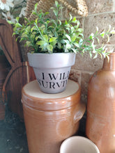 Load image into Gallery viewer, Terracotta pots
