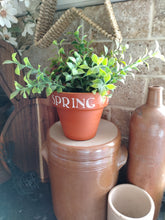 Load image into Gallery viewer, Terracotta pots
