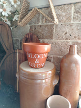 Load image into Gallery viewer, Terracotta pots
